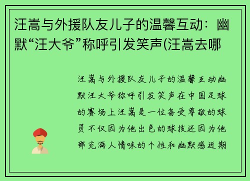 汪嵩与外援队友儿子的温馨互动：幽默“汪大爷”称呼引发笑声(汪嵩去哪了)